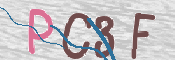 To prevent spam, please prove you are a real person by typing the characters you see in this box into the box below.