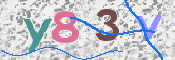 To prevent spam, please prove you are a real person by typing the characters you see in this box into the box below.