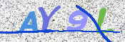 To prevent spam, please prove you are a real person by typing the characters you see in this box into the box below.