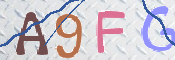 To prevent spam, please prove you are a real person by typing the characters you see in this box into the box below.