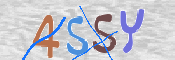 To prevent spam, please prove you are a real person by typing the characters you see in this box into the box below.