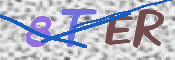 To prevent spam, please prove you are a real person by typing the characters you see in this box into the box below.