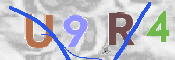 To prevent spam, please prove you are a real person by typing the characters you see in this box into the box below.