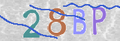 To prevent spam, please prove you are a real person by typing the characters you see in this box into the box below.