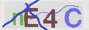 To prevent spam, please prove you are a real person by typing the characters you see in this box into the box below.