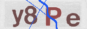 To prevent spam, please prove you are a real person by typing the characters you see in this box into the box below.