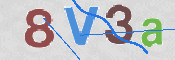 To prevent spam, please prove you are a real person by typing the characters you see in this box into the box below.