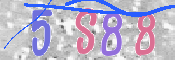 To prevent spam, please prove you are a real person by typing the characters you see in this box into the box below.