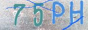 To prevent spam, please prove you are a real person by typing the characters you see in this box into the box below.