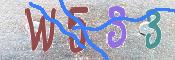 To prevent spam, please prove you are a real person by typing the characters you see in this box into the box below.