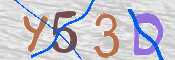 To prevent spam, please prove you are a real person by typing the characters you see in this box into the box below.