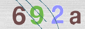 To prevent spam, please prove you are a real person by typing the characters you see in this box into the box below.