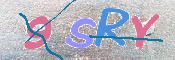 To prevent spam, please prove you are a real person by typing the characters you see in this box into the box below.