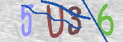 To prevent spam, please prove you are a real person by typing the characters you see in this box into the box below.