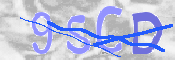To prevent spam, please prove you are a real person by typing the characters you see in this box into the box below.