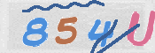 To prevent spam, please prove you are a real person by typing the characters you see in this box into the box below.
