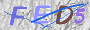 To prevent spam, please prove you are a real person by typing the characters you see in this box into the box below.