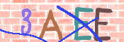 To prevent spam, please prove you are a real person by typing the characters you see in this box into the box below.