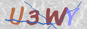 To prevent spam, please prove you are a real person by typing the characters you see in this box into the box below.