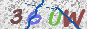 To prevent spam, please prove you are a real person by typing the characters you see in this box into the box below.
