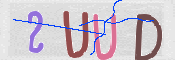 To prevent spam, please prove you are a real person by typing the characters you see in this box into the box below.