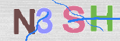 To prevent spam, please prove you are a real person by typing the characters you see in this box into the box below.