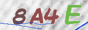 To prevent spam, please prove you are a real person by typing the characters you see in this box into the box below.