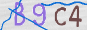 To prevent spam, please prove you are a real person by typing the characters you see in this box into the box below.