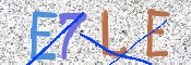 To prevent spam, please prove you are a real person by typing the characters you see in this box into the box below.