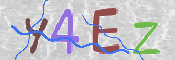 To prevent spam, please prove you are a real person by typing the characters you see in this box into the box below.
