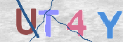 To prevent spam, please prove you are a real person by typing the characters you see in this box into the box below.