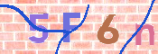 To prevent spam, please prove you are a real person by typing the characters you see in this box into the box below.