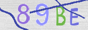 To prevent spam, please prove you are a real person by typing the characters you see in this box into the box below.