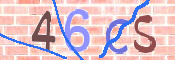 To prevent spam, please prove you are a real person by typing the characters you see in this box into the box below.