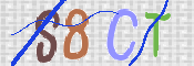 To prevent spam, please prove you are a real person by typing the characters you see in this box into the box below.