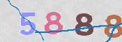 To prevent spam, please prove you are a real person by typing the characters you see in this box into the box below.