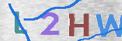 To prevent spam, please prove you are a real person by typing the characters you see in this box into the box below.