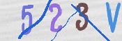 To prevent spam, please prove you are a real person by typing the characters you see in this box into the box below.
