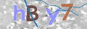To prevent spam, please prove you are a real person by typing the characters you see in this box into the box below.