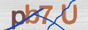 To prevent spam, please prove you are a real person by typing the characters you see in this box into the box below.