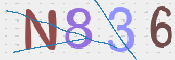 To prevent spam, please prove you are a real person by typing the characters you see in this box into the box below.