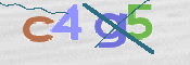 To prevent spam, please prove you are a real person by typing the characters you see in this box into the box below.