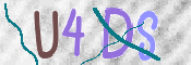 To prevent spam, please prove you are a real person by typing the characters you see in this box into the box below.