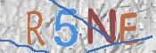 To prevent spam, please prove you are a real person by typing the characters you see in this box into the box below.