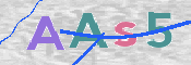To prevent spam, please prove you are a real person by typing the characters you see in this box into the box below.