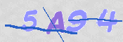 To prevent spam, please prove you are a real person by typing the characters you see in this box into the box below.