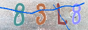 To prevent spam, please prove you are a real person by typing the characters you see in this box into the box below.