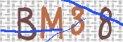 To prevent spam, please prove you are a real person by typing the characters you see in this box into the box below.