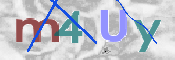 To prevent spam, please prove you are a real person by typing the characters you see in this box into the box below.