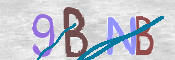 To prevent spam, please prove you are a real person by typing the characters you see in this box into the box below.